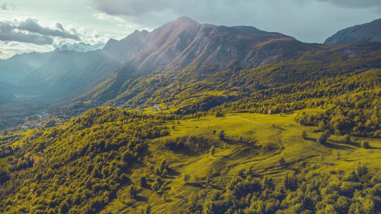 Hisa Natasa Villa Dreznica Exteriör bild